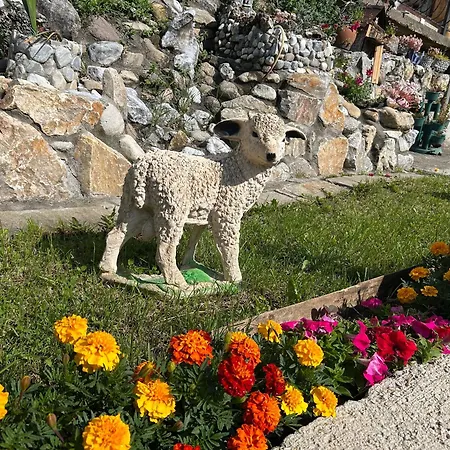 изгрев * ترايغراد