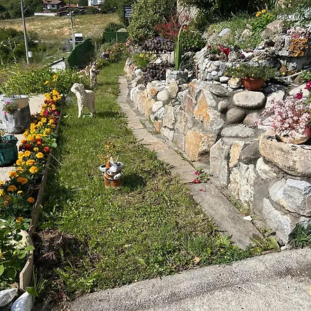 изгрев