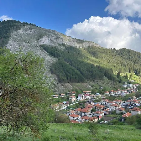 بيت ضيافة изгрев ترايغراد